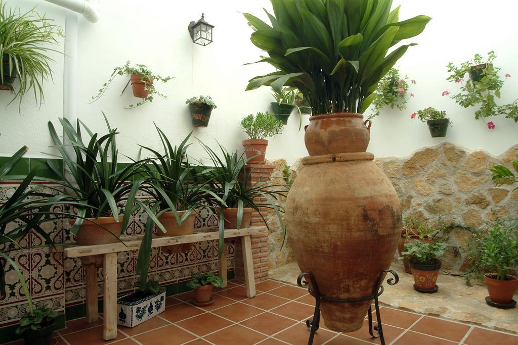 Apartamentos Tio Jose Maria Hinojares Exteriér fotografie